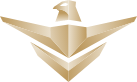National Security Service Company